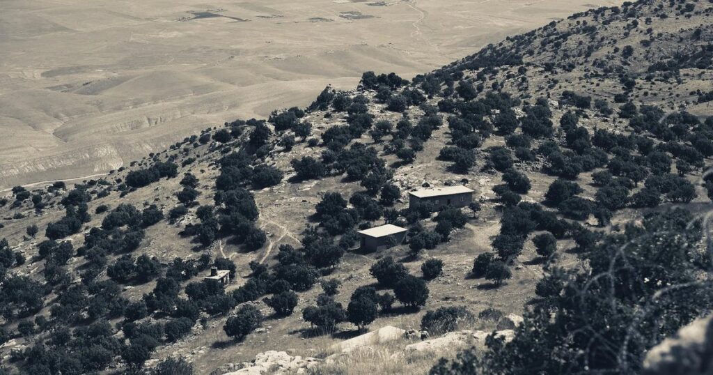 The slopes of Mount Sinjar, dotted with trees, above an arid plain